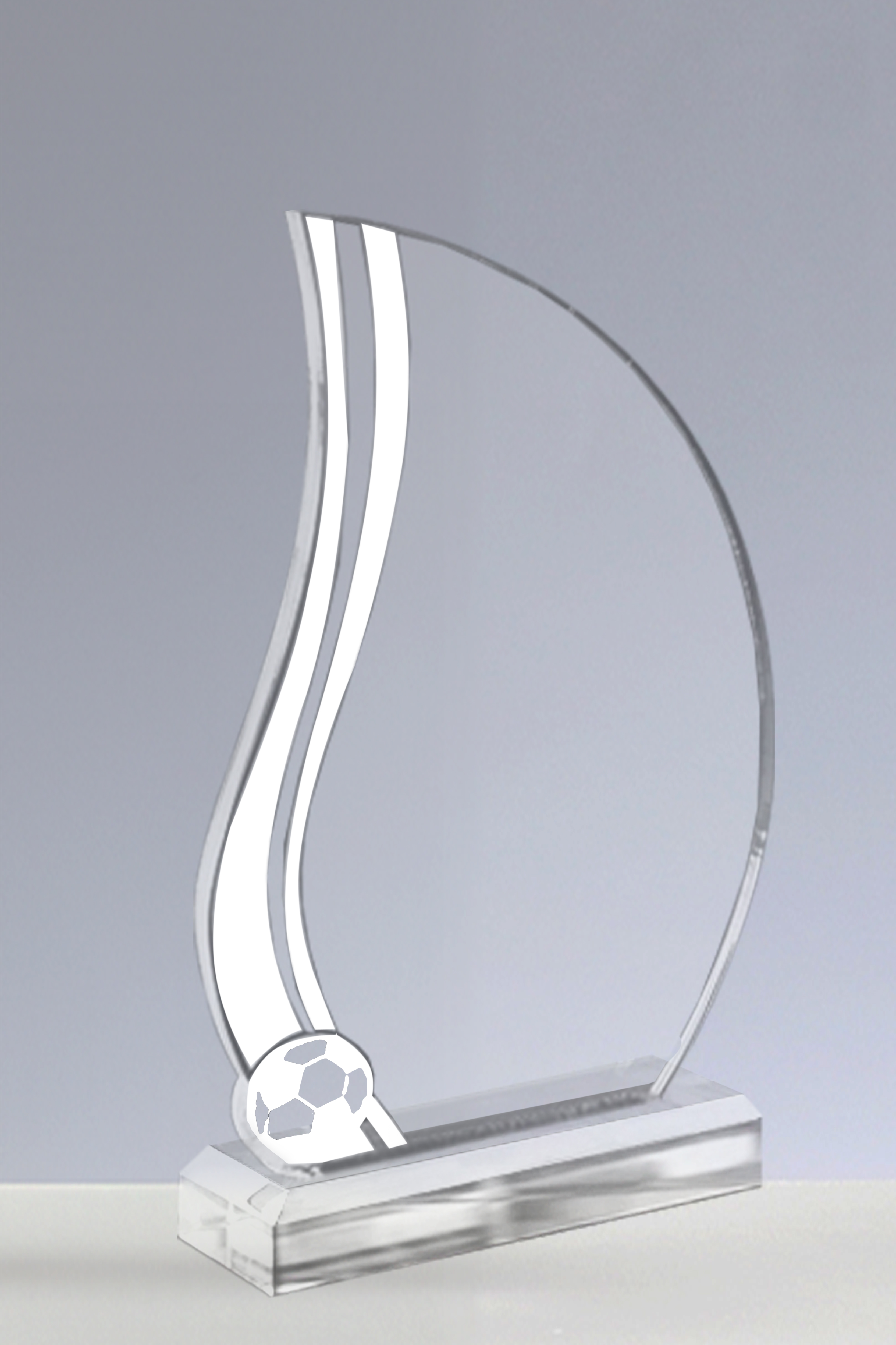 Trofee Personalizate PSW 114